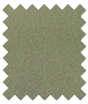 Dark Sage Wedding Swatch