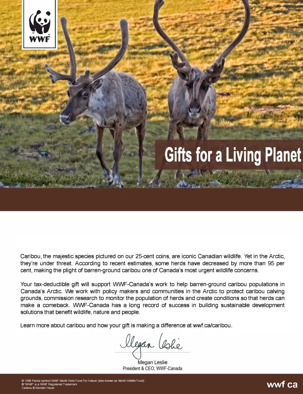 ensure Arctic caribou thrive