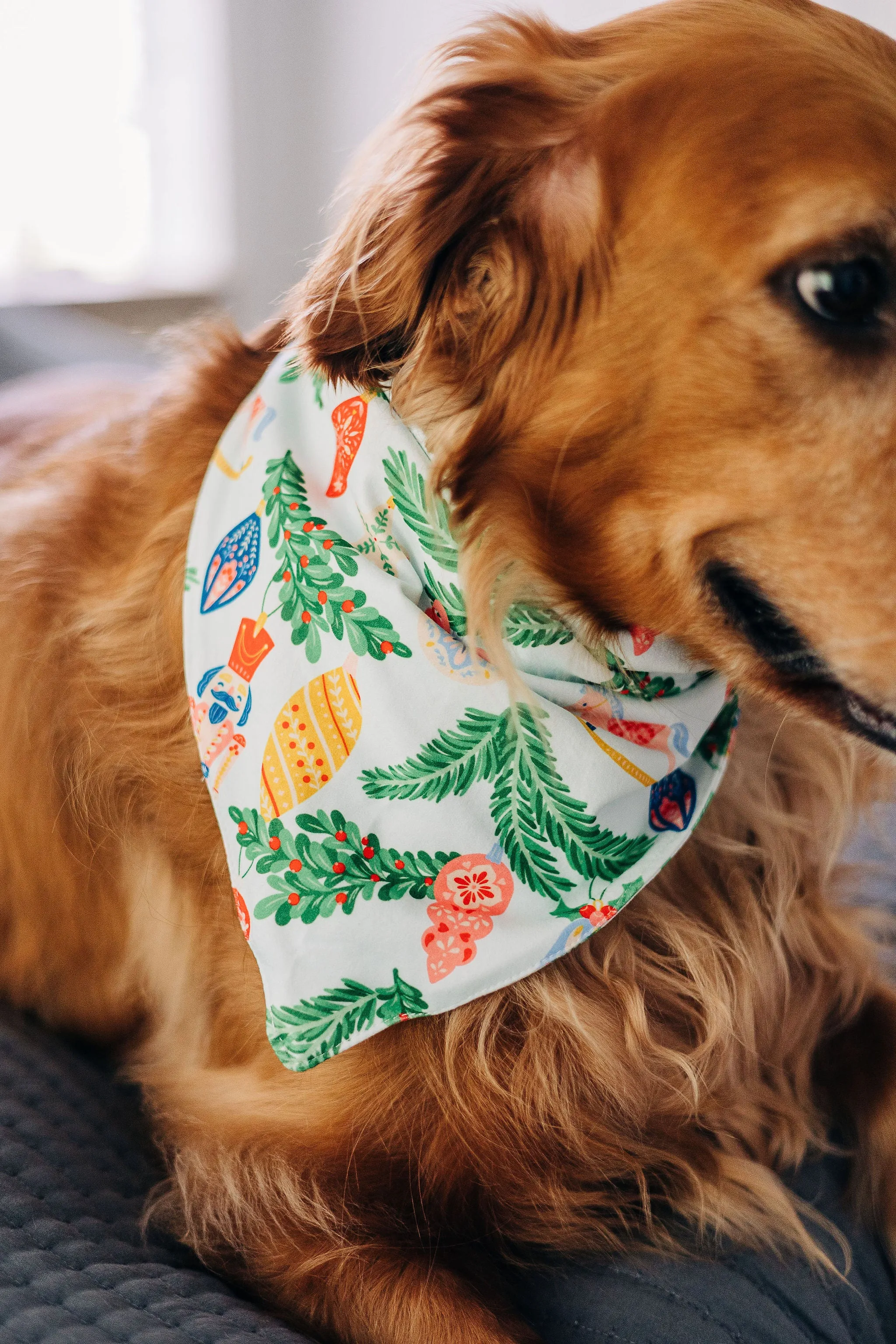 Nutcracker - Pet Bandana Holiday Lounge PREORDER