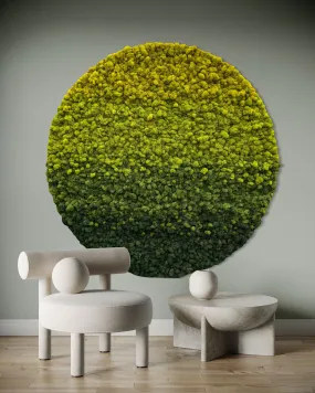 Ombre Circular Hanging Moss Wall Art